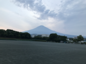 婆さんから催促 画像1