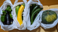 夏野菜 と ハンコ忘れた