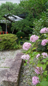 温泉旅館 画像2
