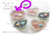 運気☆UP!? 画像2