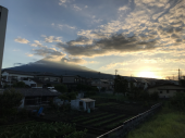 夏が去る 画像1