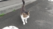 タイムスリップ 画像1