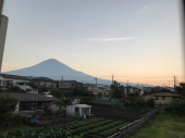 暑さに参る 画像2