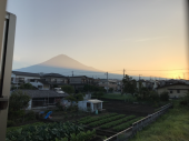 暑さに参る 画像3