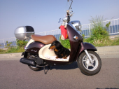 運転免許証更新 画像1