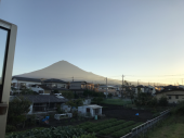 夜と朝歩く 画像1