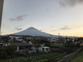 疲れを栄養から解く 画像1