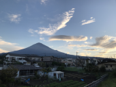 歩かない朝 画像1