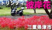サムネイル 画像2