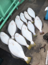 みぞれだから休もう