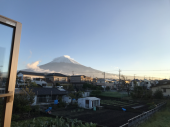 花を注文 画像1