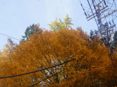 金色に輝く金剛山 画像2