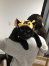 楽しい予定が浮かばない