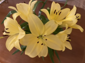 211106　園芸活動 画像1