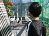 朝霧は混んでました 画像2
