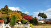 観光地は、、、 画像2