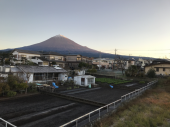 霜を見る 画像1
