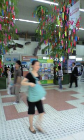 七夕に健康診断 画像1