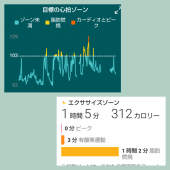 心拍数 画像2
