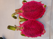Yummy！！ 画像2