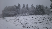 雪じゃ！…↓ 画像3