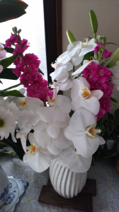 エコー健診の結果 画像2