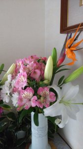 エコー健診の結果 画像3