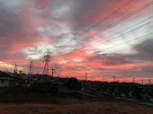 また空振り 画像2