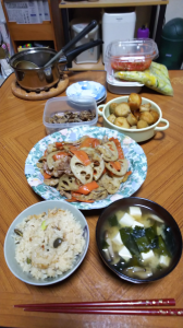 電気敷き毛布を買う 画像2