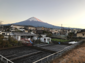 やはり悪い結果 画像1