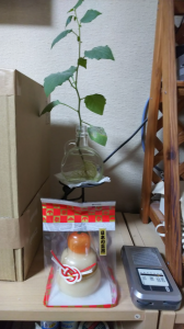 カラダ優先の大晦日 画像2