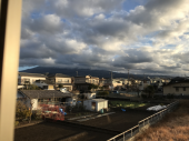 初夢は期待外れ 画像1