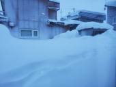 また全国ニュースで出ました 画像1