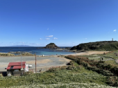 220114　水仙の咲く海っペリ 画像1