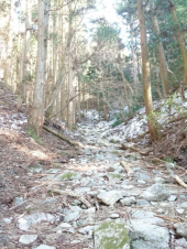 凍結した沢を歩く 画像1