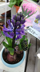 PCR検査結果 画像1