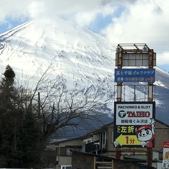 ☆富士山とドッグラン巡り☆