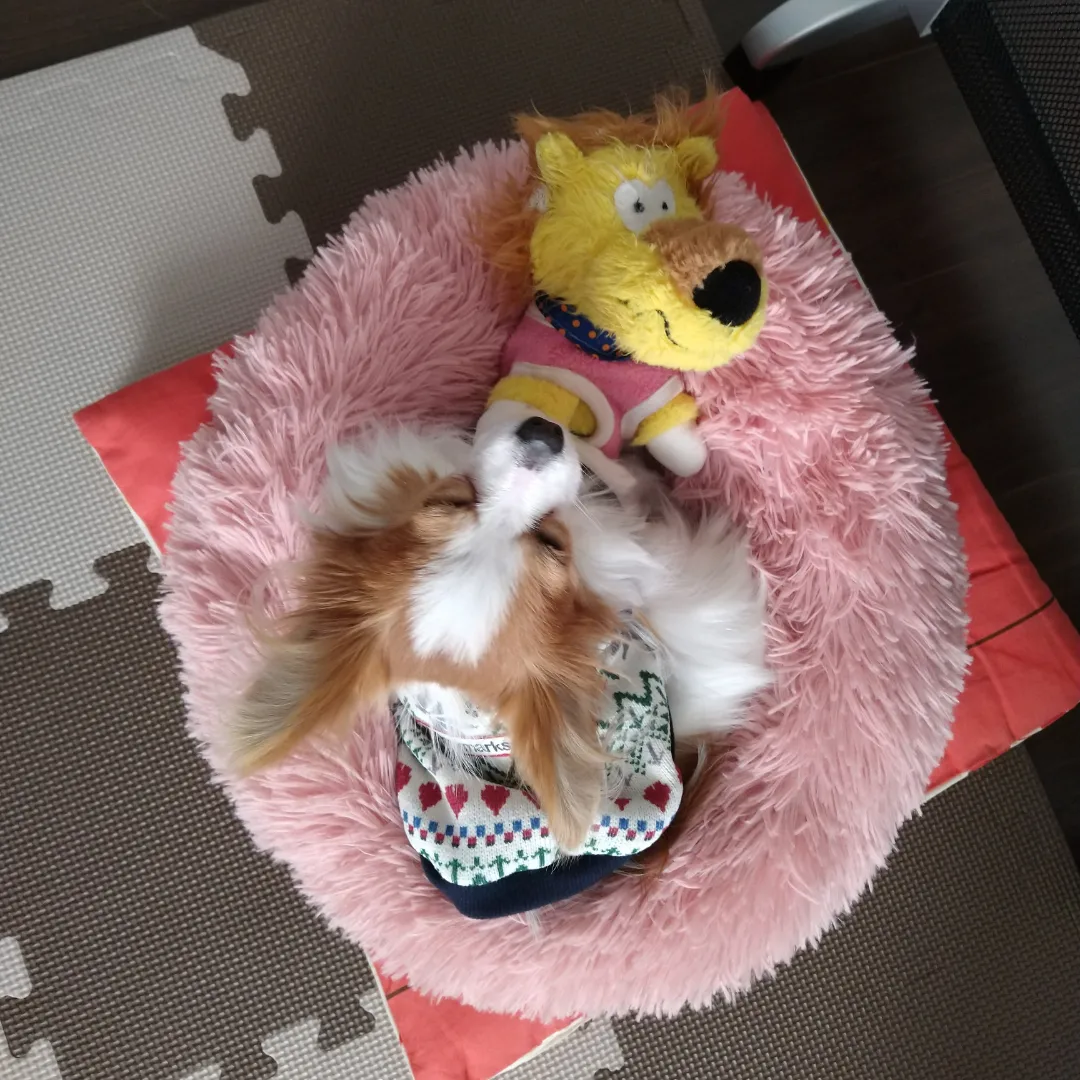 ☆Best buddy☆