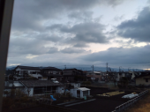 やっと写真が載りました 画像1