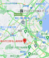 20256歩 画像2