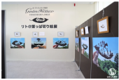 花の横浜へ 画像2