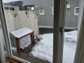 ４月の始まりは雪