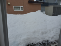 ４月の始まりは雪