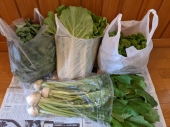 群馬の野菜 と 兄家族と 画像1