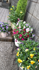 動け、動け。 画像3