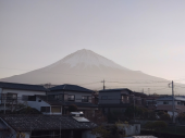 今朝はきし麵 画像1