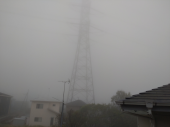 霧雨 画像3