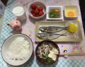 4月20日（水）
