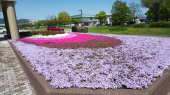 研修で県庁所在地へ 画像2