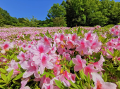 続けるか続けないかは、あなた次第です。 画像1